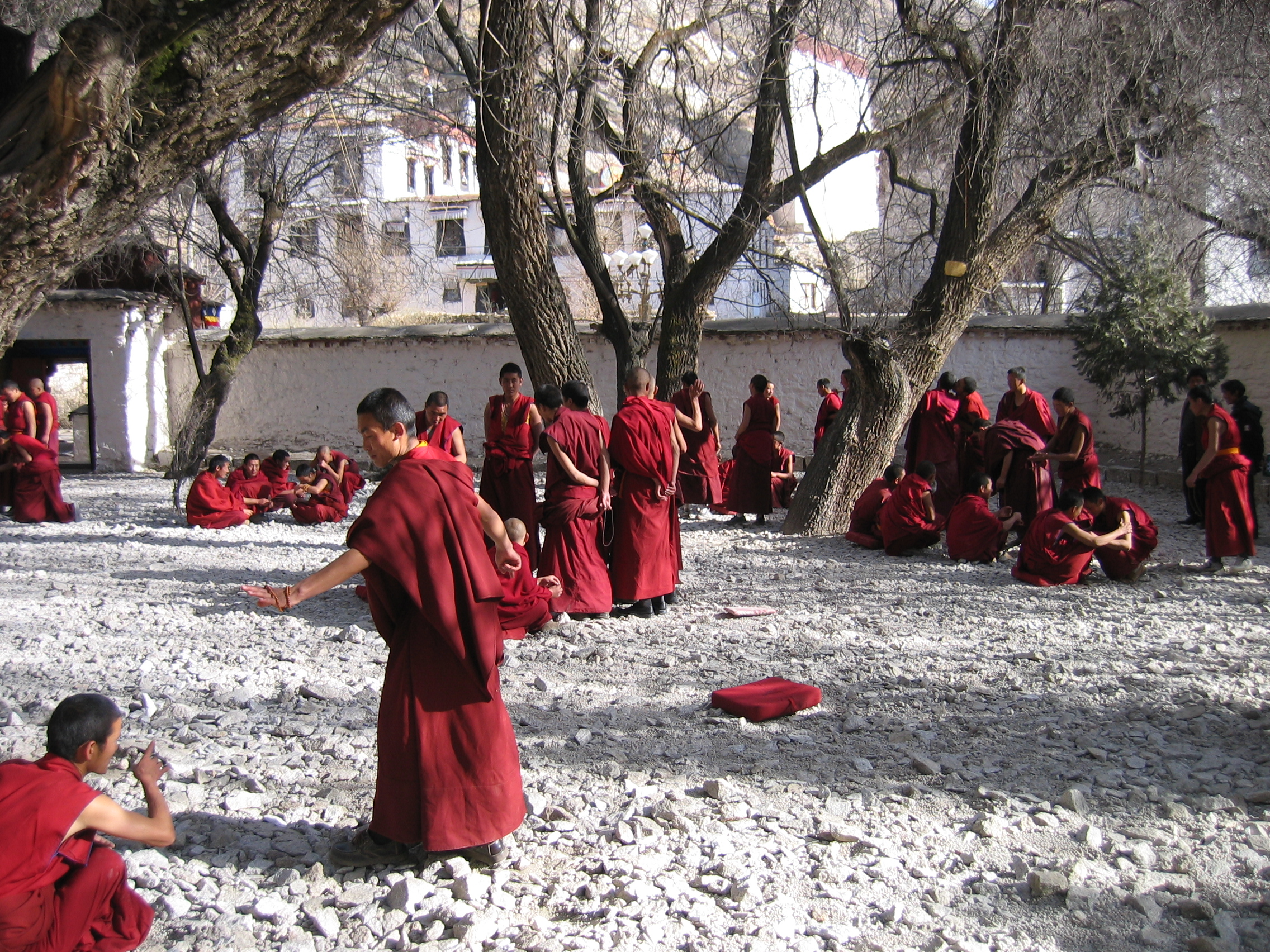 Monk at Bhutan