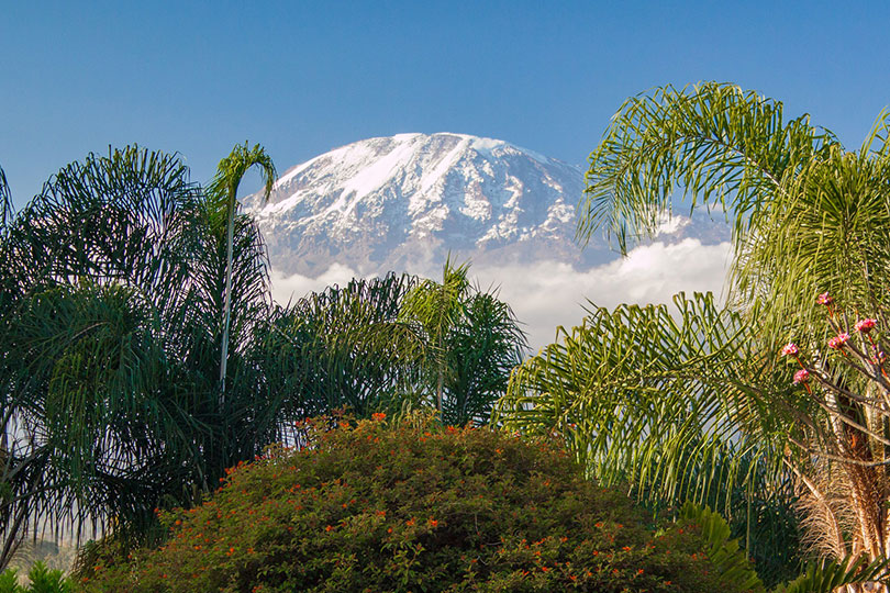 5 different Rain Forest Zone in Mount Kilimanjaro 