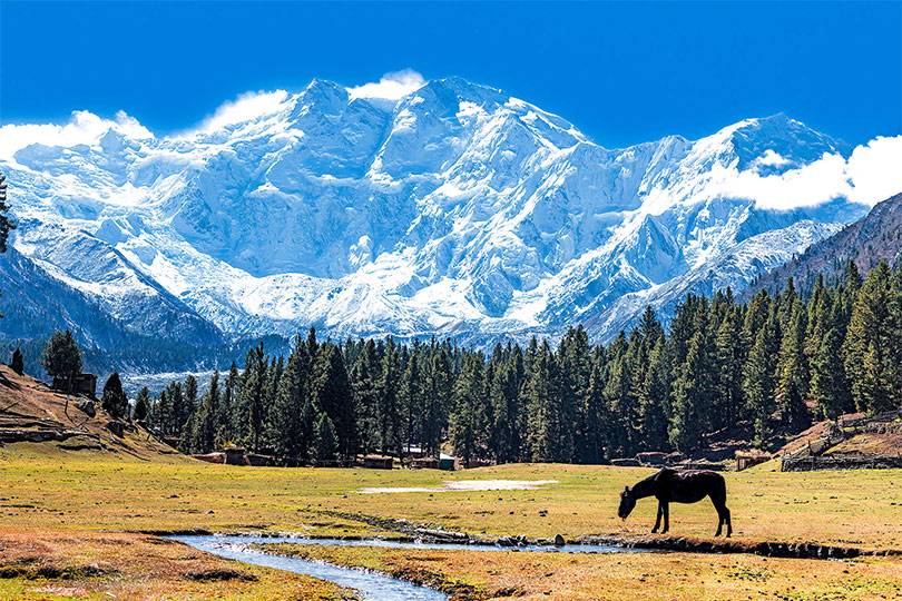 Nanga Parbat one of the 14 highest peak in the world