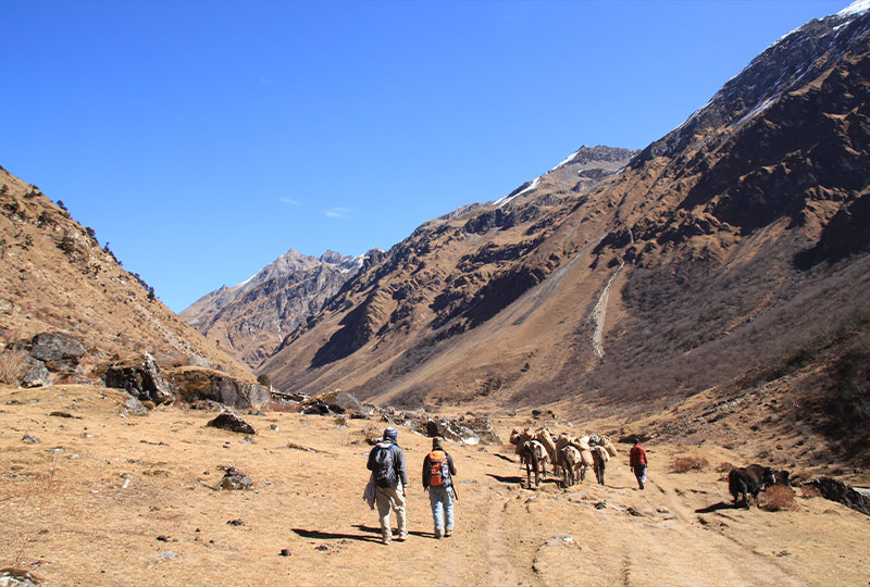 High Pass of Jumolhari Trek during best time to visit in Nepal