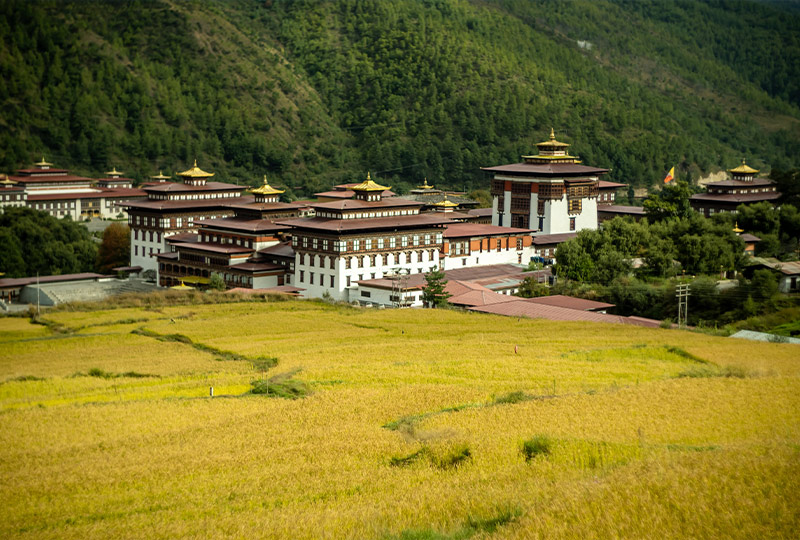 Paddy Field and Monastery seen in Bhutan