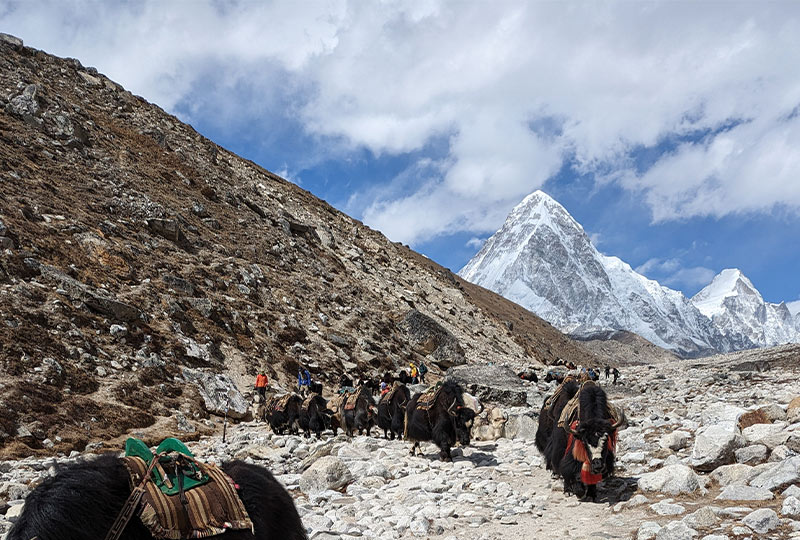 Along the Everest Base Camp Trek